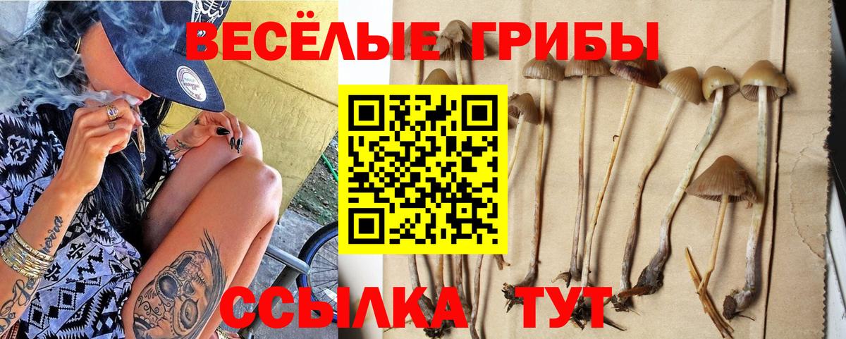 Псилоцибиновые грибы мухоморы  Вход с VPN  наркотики  Галлюциногенные грибы Psilocybine cubensis  Александров 