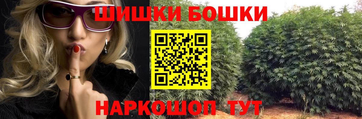 Конопля сатива Александров
